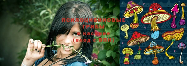 марки nbome Инта